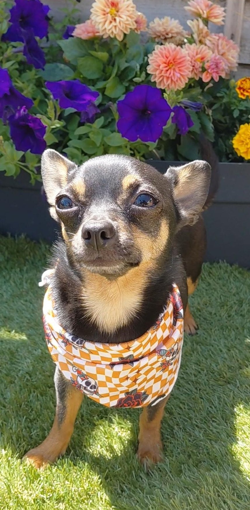 Skull and Rose Bandana