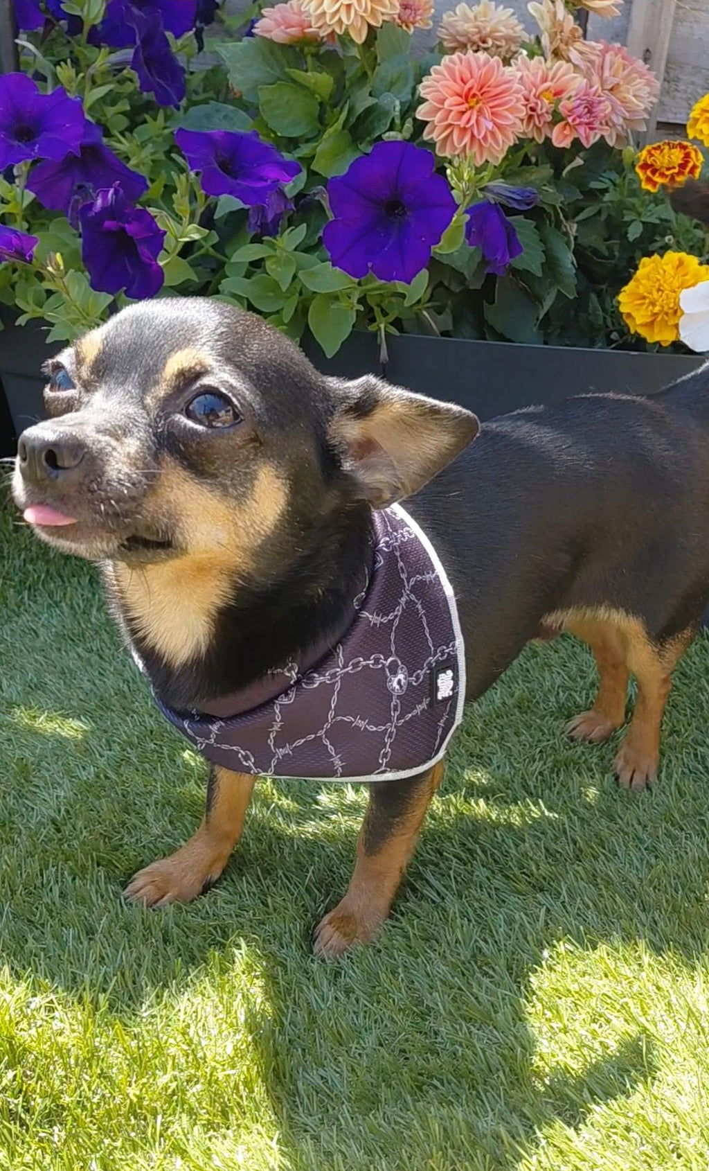 Lockdown Bandana