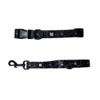 Neon Lockdown Collar Set
