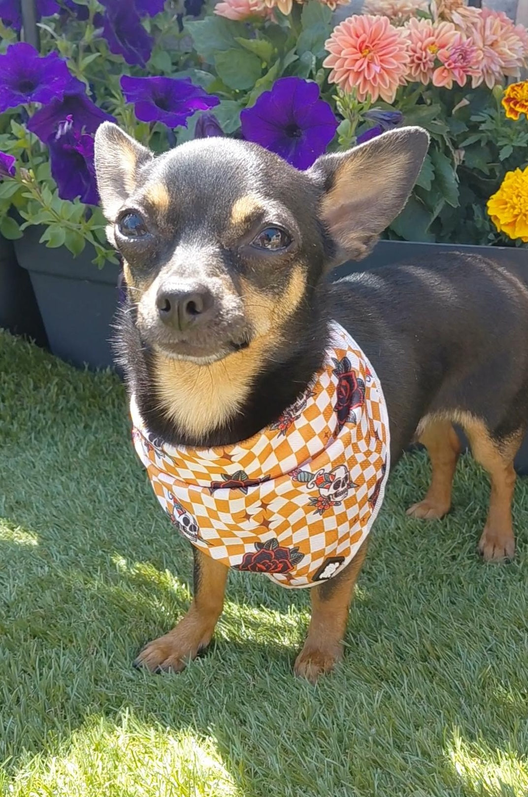 Skull and Rose Bandana
