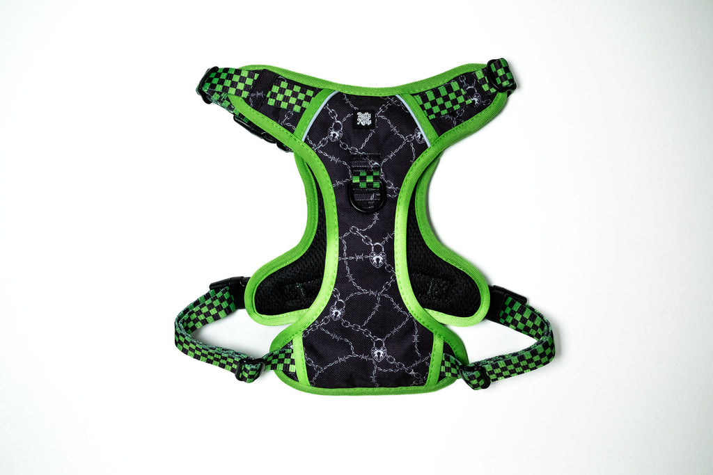Neon Lockdown Harness
