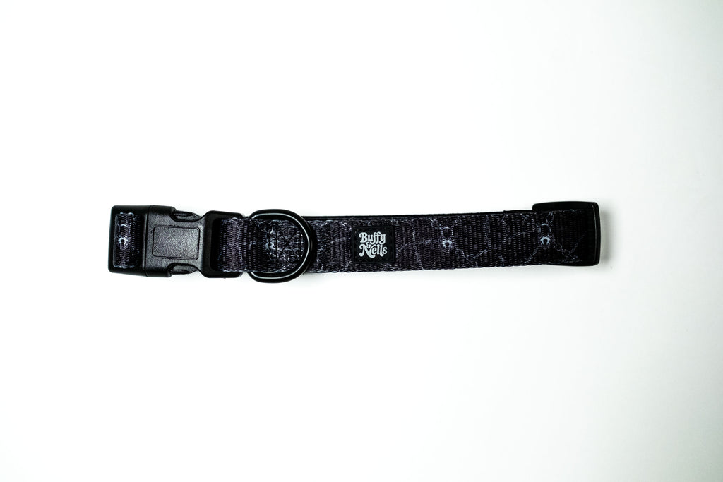 Neon Lockdown Collar Set