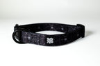 Neon Lockdown Collar Set