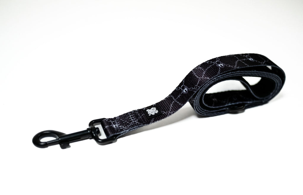 Neon Lockdown Collar Set