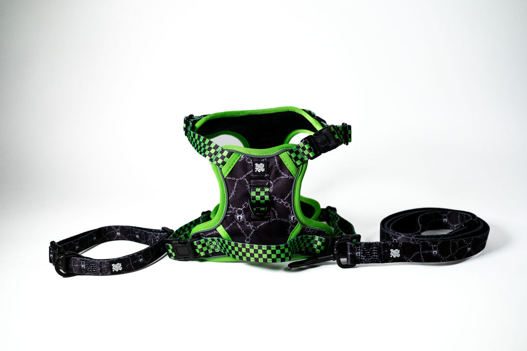 Neon Lockdown Harness Set