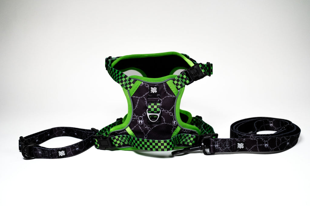Neon Lockdown Harness Set