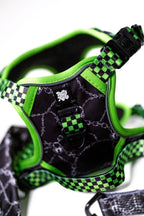 Neon Lockdown Harness Set