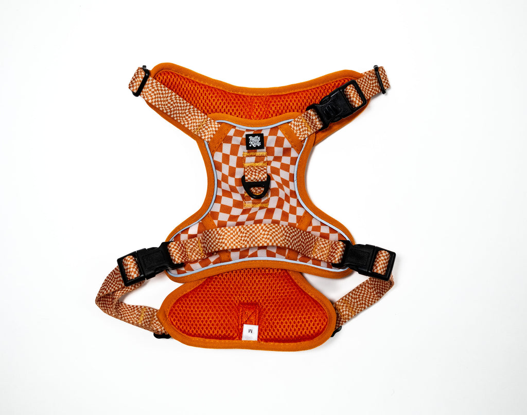 Basic Bitch Harness