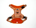 Basic Bitch Harness