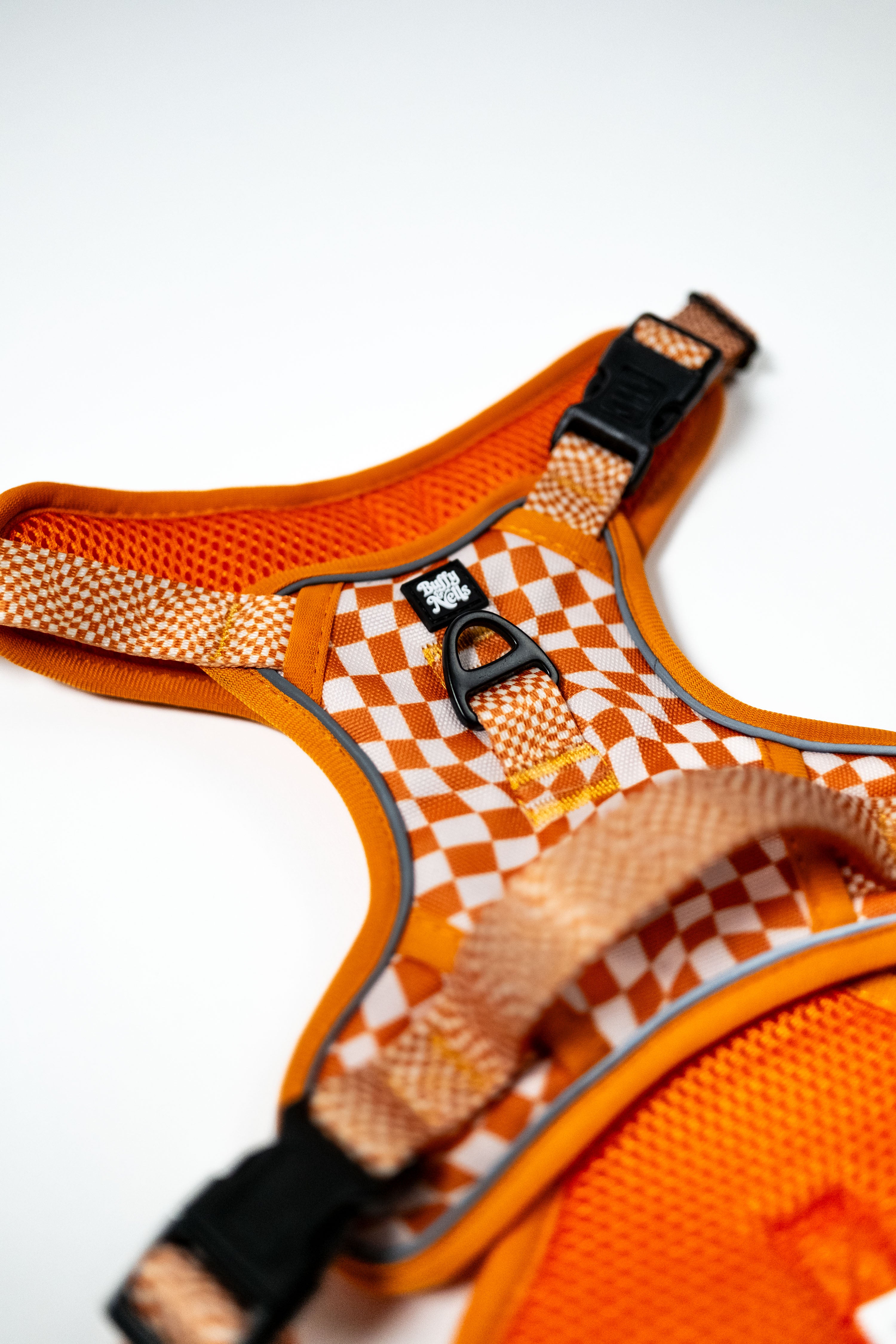 Basic Bitch Harness