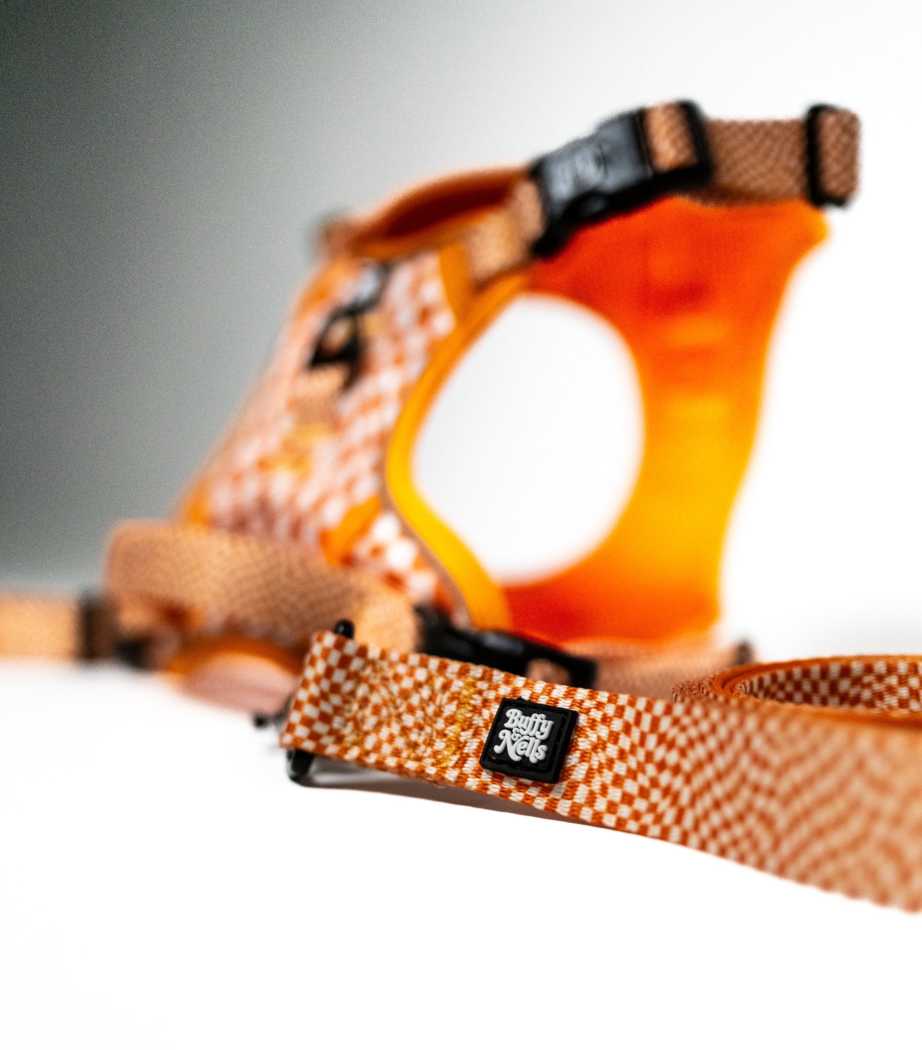 Basic Bitch Harness Set