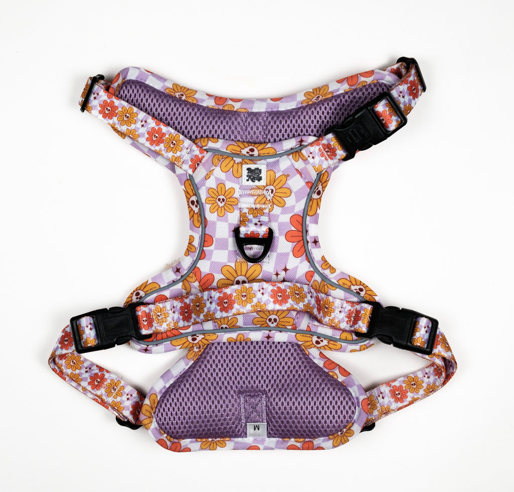 Bloom and Doom Puppy Bundle