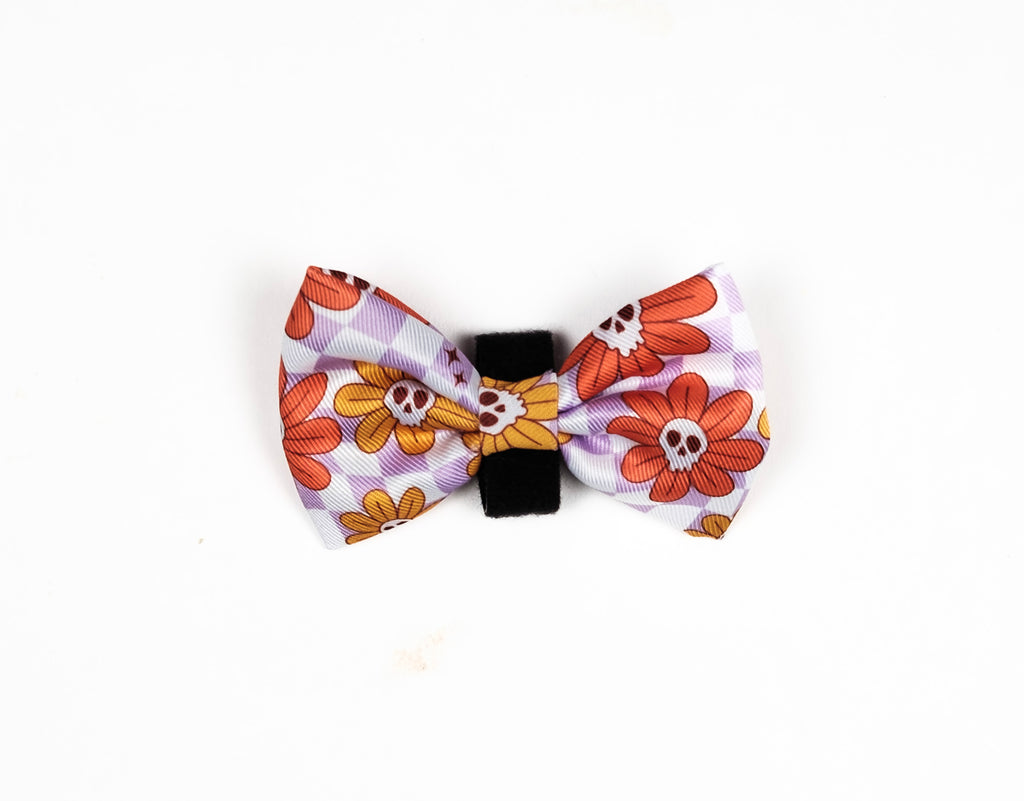 Bow Tie Bundle