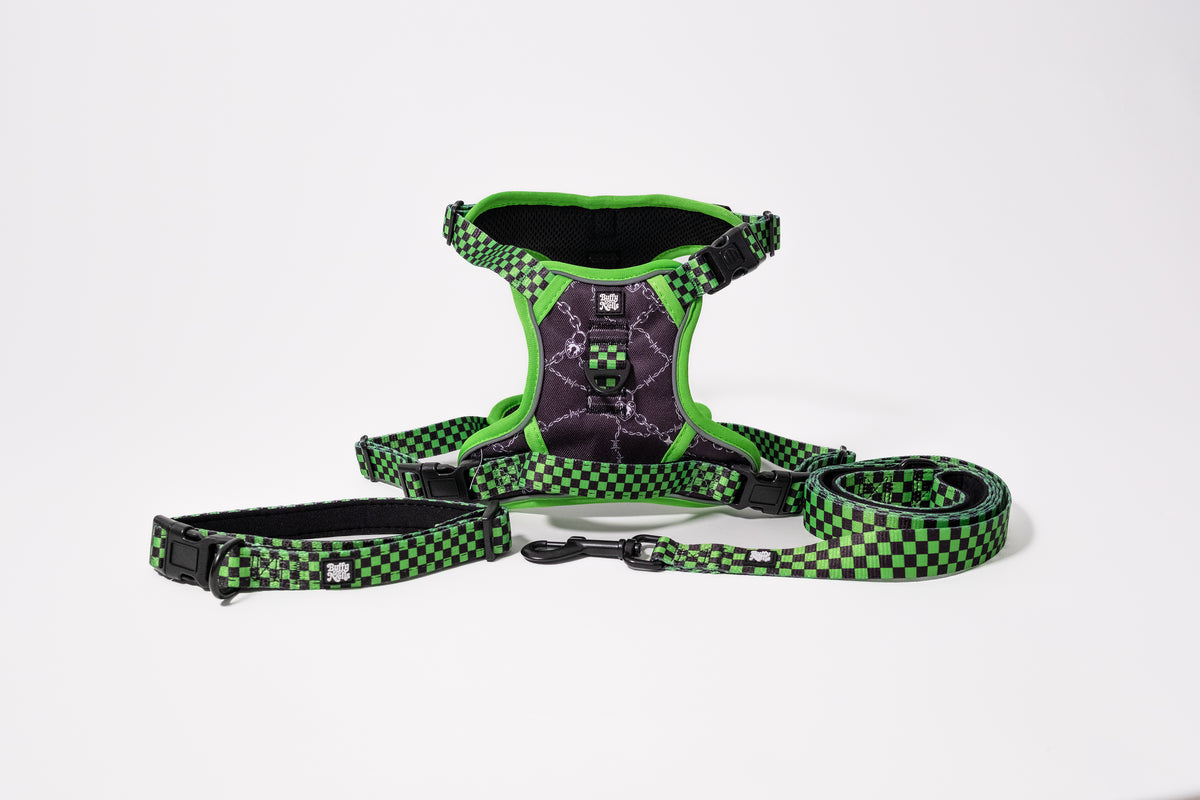 Toxic Lockdown harness set
