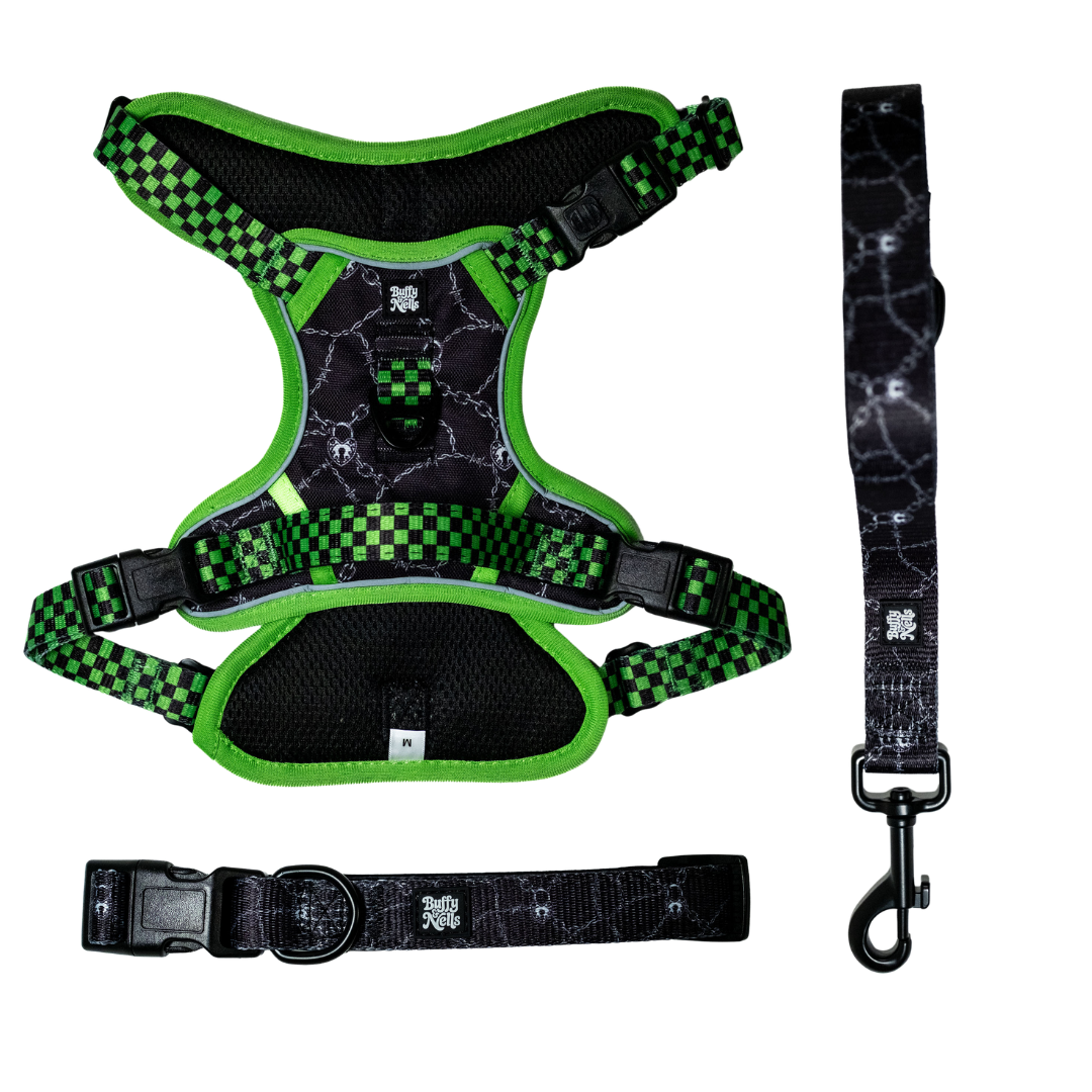 Neon Lockdown Harness Set