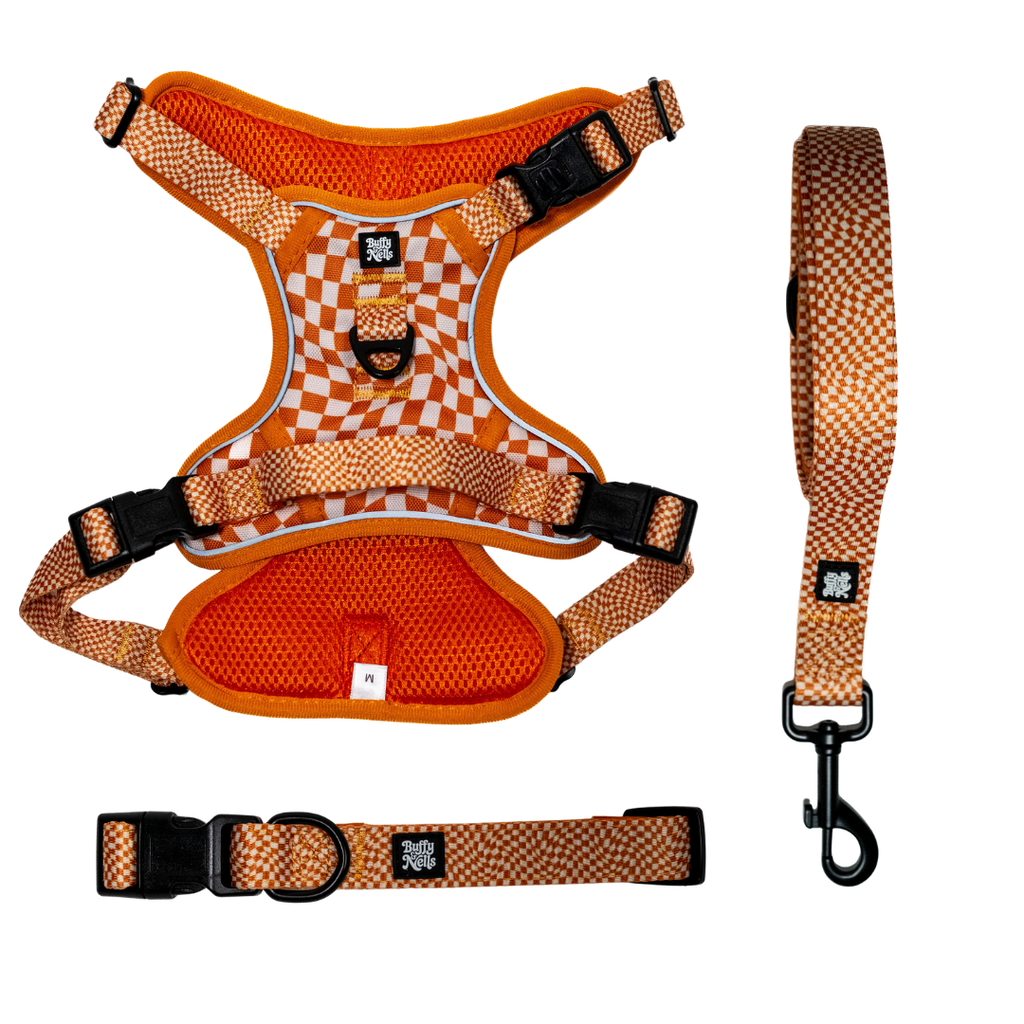 Basic Bitch Harness Set
