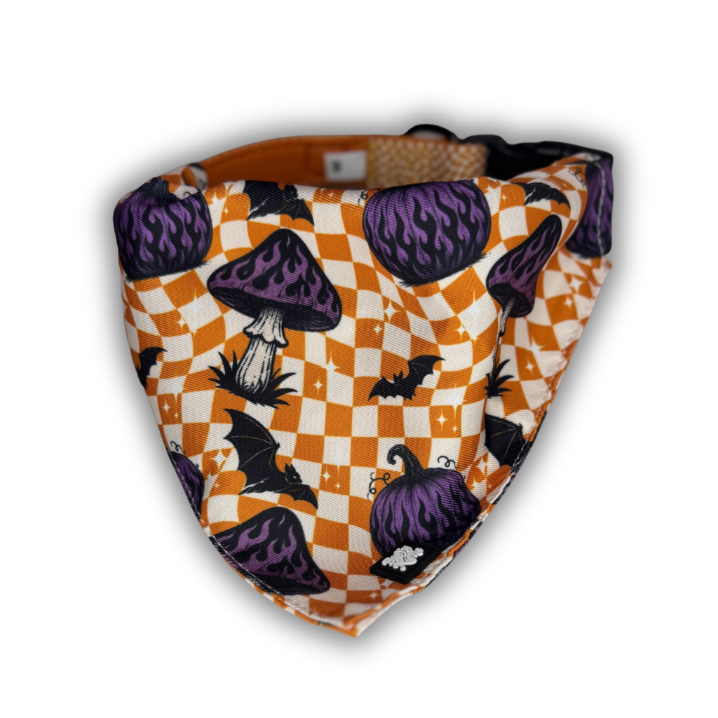 Halloween Collection - Limited
