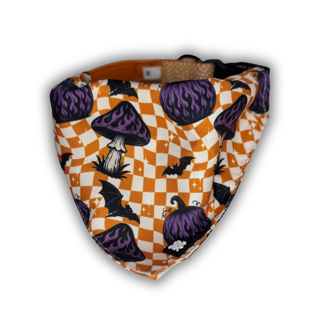 Halloween Collection - Limited